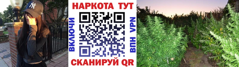 Где купить Нягань Alpha-PVP Меф мяу мяу COCAIN ГАШ Марихуана