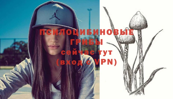 трава Нефтекумск