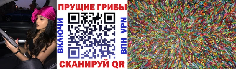 цена наркотик Нягань Псилоцибиновые грибы мицелий